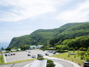 恵コースプラン